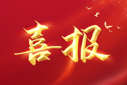 喜报 | leyu乐鱼荣登2024粤港澳大湾区企业创新力榜单